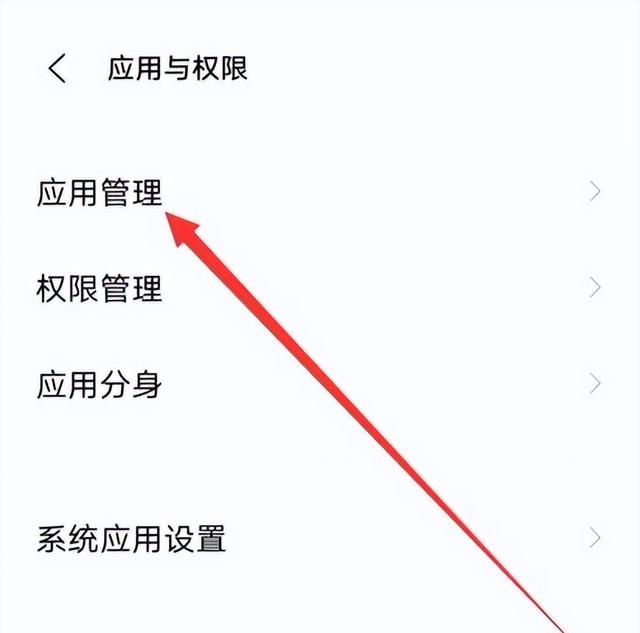 qq麦克风权限怎么开启,苹果ipad在哪打开qq麦克风权限图5