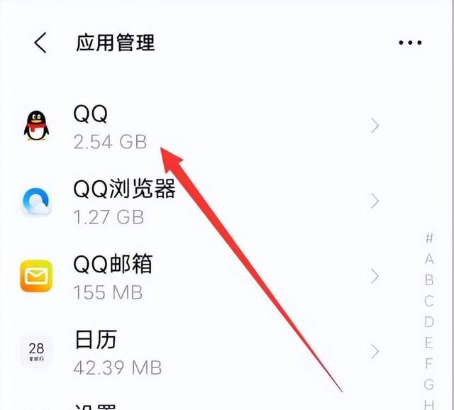 qq麦克风权限怎么开启,苹果ipad在哪打开qq麦克风权限图6