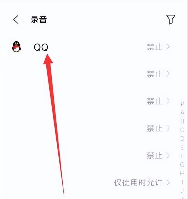 qq麦克风权限怎么开启,苹果ipad在哪打开qq麦克风权限图14