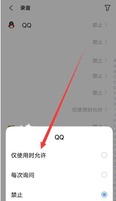 qq麦克风权限怎么开启,苹果ipad在哪打开qq麦克风权限图15