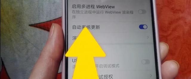 怎么关闭系统自动更新手机图7