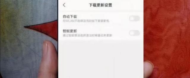 怎么关闭系统自动更新手机图12