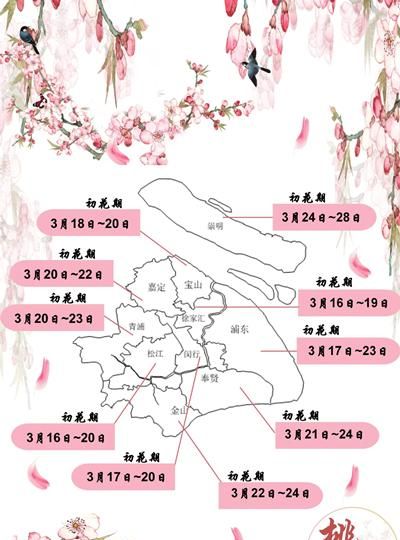 申城桃花什么时候开花图1