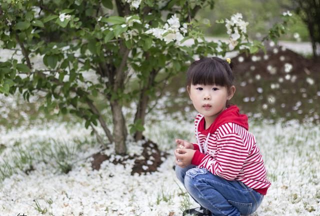 芒果荔枝菠萝杨桃图4