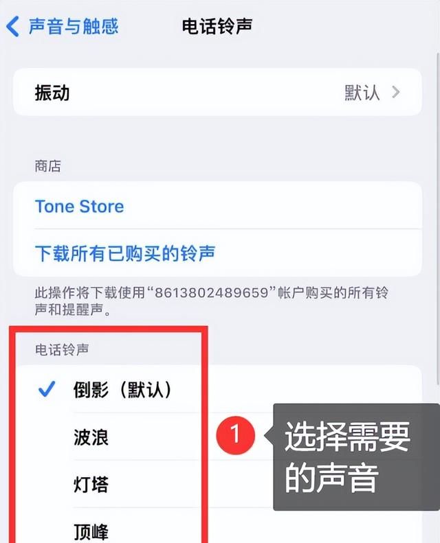 苹果手机怎么设置来电铃声呢图5