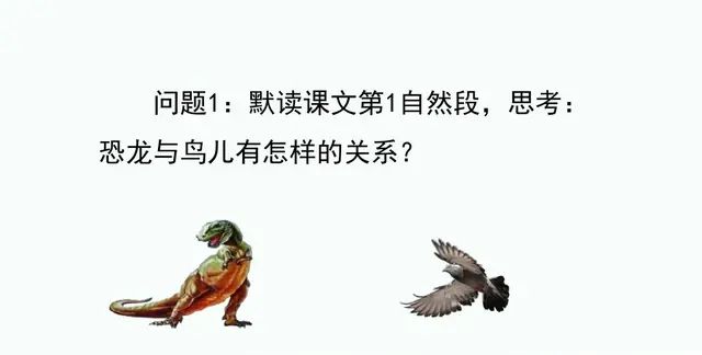 四年级下册语文第六课《飞向蓝天的恐龙》讲解图30