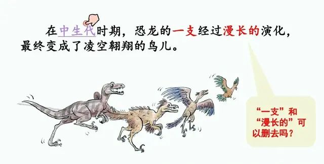 四年级下册语文第六课《飞向蓝天的恐龙》讲解图31