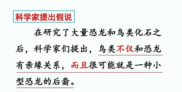 四年级下册语文第六课《飞向蓝天的恐龙》讲解图37