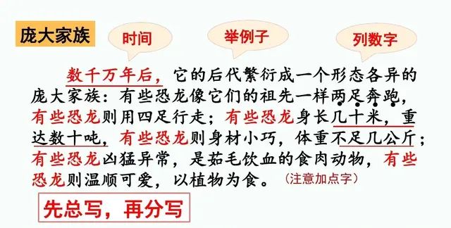 四年级下册语文第六课《飞向蓝天的恐龙》讲解图43