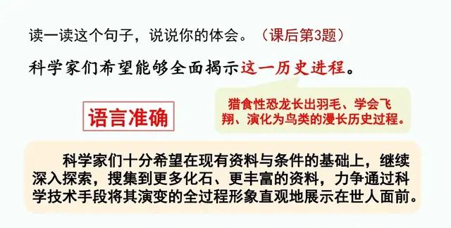 四年级下册语文第六课《飞向蓝天的恐龙》讲解图53