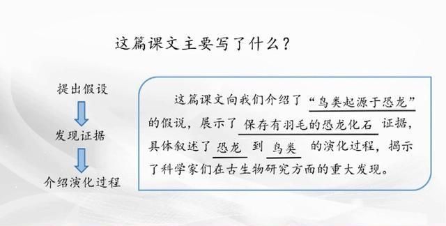 恐龙琥珀纳米技术的共同点,恐龙纳米技术图8