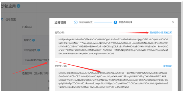 如何将支付宝应用添加到桌面,支付宝支付接口怎么接入图5