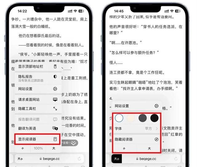 苹果浏览器使用教程,iphonesafari浏览器使用技巧图2