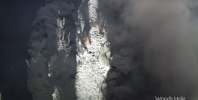 海底火山口生活的虾能煮熟吗(450度火山口的虾如何煮熟)图7