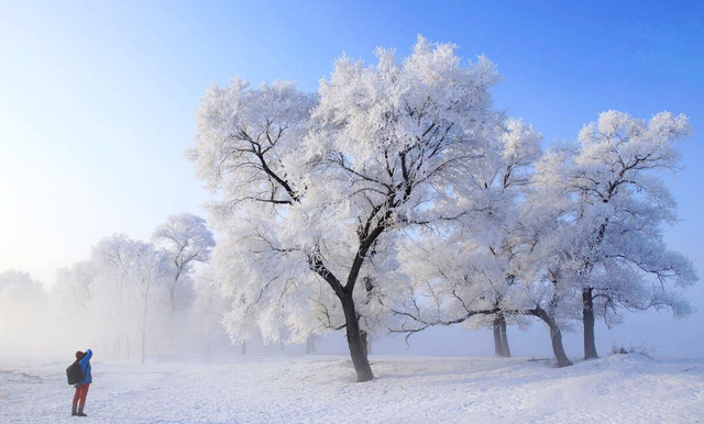 掌握这9个摄影技巧,用手机也能拍出雪景大片图5