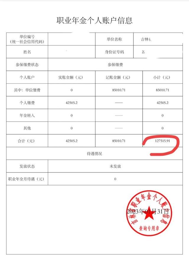 怎样查看个人的职业年金,怎么查看自己的职业年金图6