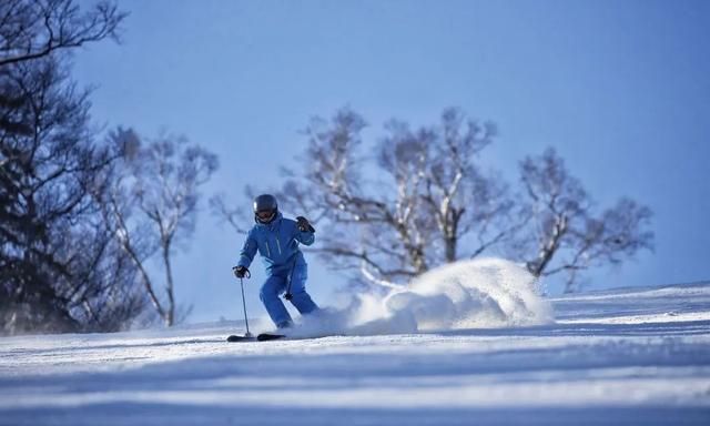 冬日雪景如何拍摄建议收藏保存(下雪天如何自己拍摄雪景)图2