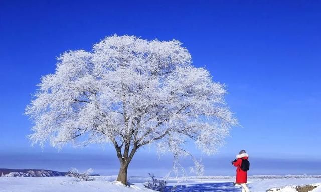 冬日雪景如何拍摄建议收藏保存(下雪天如何自己拍摄雪景)图6