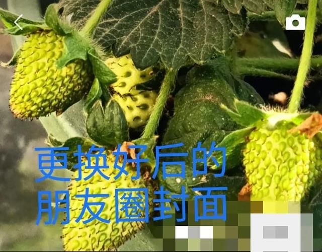 微信怎样换朋友圈封面图9