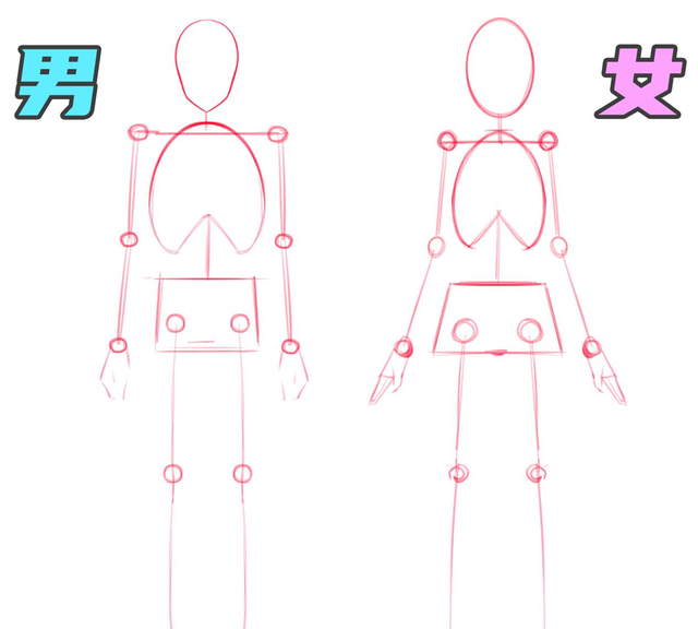 新手怎么画人体?动漫人体的绘画教程图3