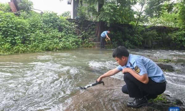 临安法院以司法之力守护绿水青山图1