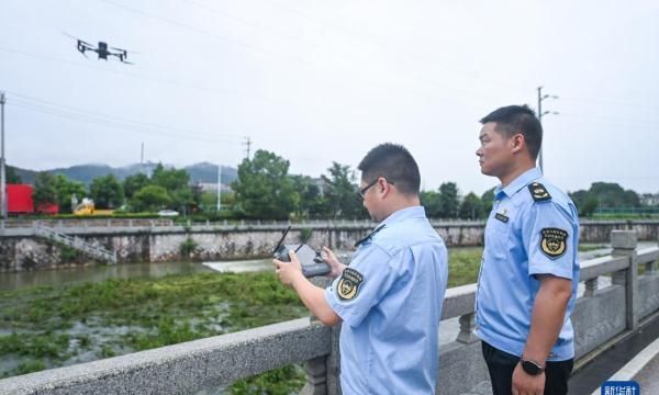 临安法院以司法之力守护绿水青山图6