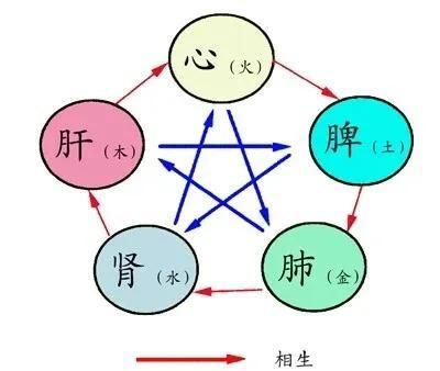 黄帝内经通俗易懂白话版下,黄帝内经通俗易懂白话版下卷图2