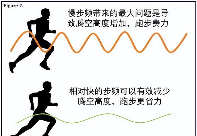 主持人欧阳夏丹跑步(央视主持人欧阳夏丹被众人点赞)图9