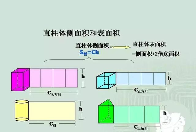 小学数学几何重点知识全汇总 易错大全图片图9