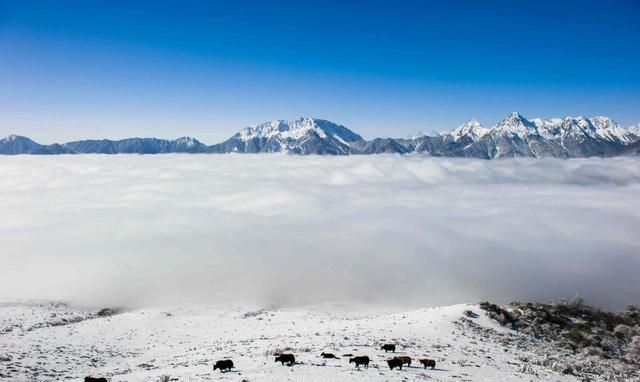 川西环线贡嘎雪山5天全景图5