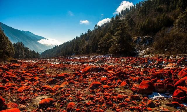 川西环线贡嘎雪山5天全景图44