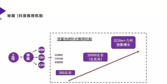 抖音达到10万粉丝怎么盈利,如何在抖音快速赚20万图2