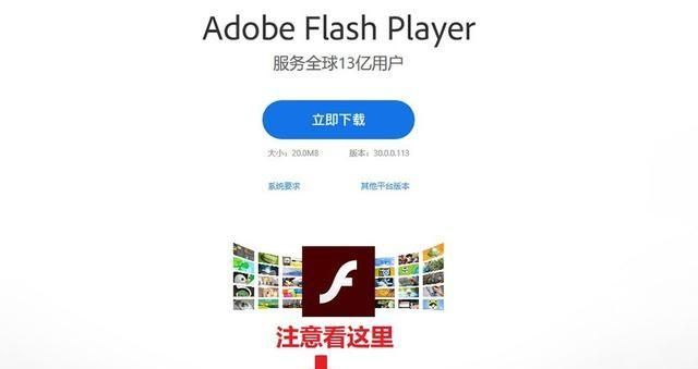 怎样关闭adobe flash player广告弹窗图6