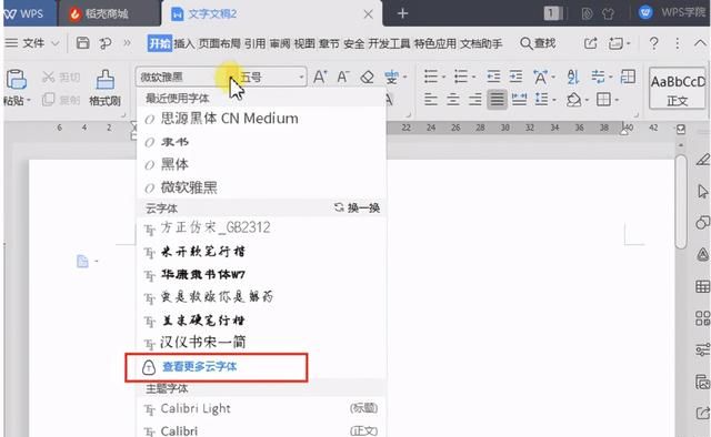 wps里面怎么添加字体(wps如何添加云字体)图2