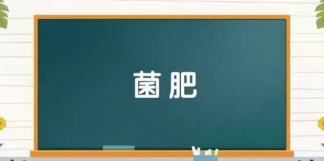 肥料的种类 性质与作用机理是什么图4