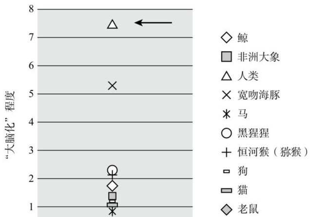 媒介与社交(女性与社交媒介)图12