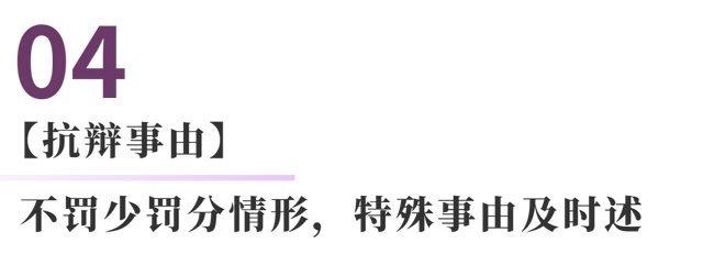 如何解决交通罚单问题(交通违法出罚单了怎么处理)图6