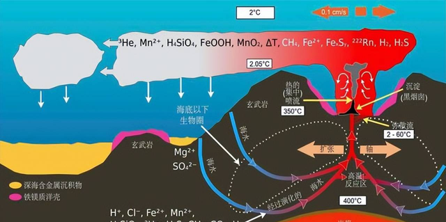 盲虾生活的地方温度有多高图3