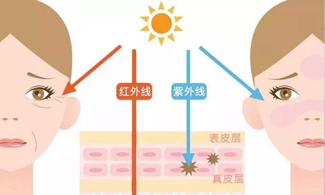 黑科技真防晒衣99元包邮(夏季户外防晒防蚊)图3