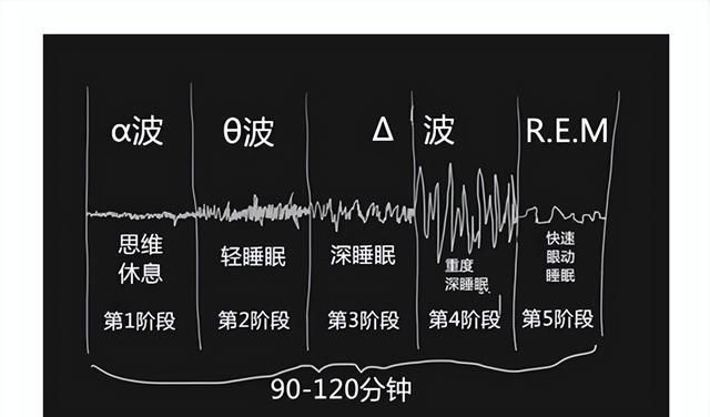 智能手表是怎么监测睡眠的图5