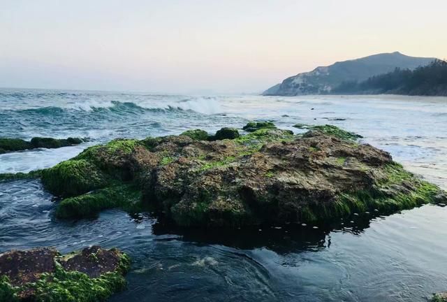 惠州海边露营赶海景点推荐(惠州巽寮湾防波堤海钓地点)图2