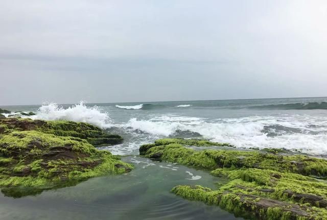 惠州海边露营赶海景点推荐(惠州巽寮湾防波堤海钓地点)图7