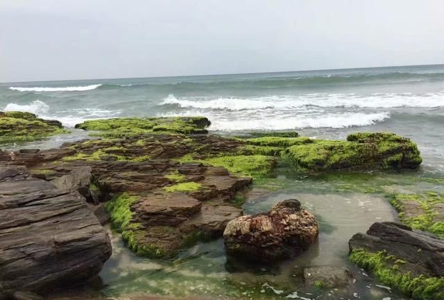 惠州海边露营赶海景点推荐(惠州巽寮湾防波堤海钓地点)图9