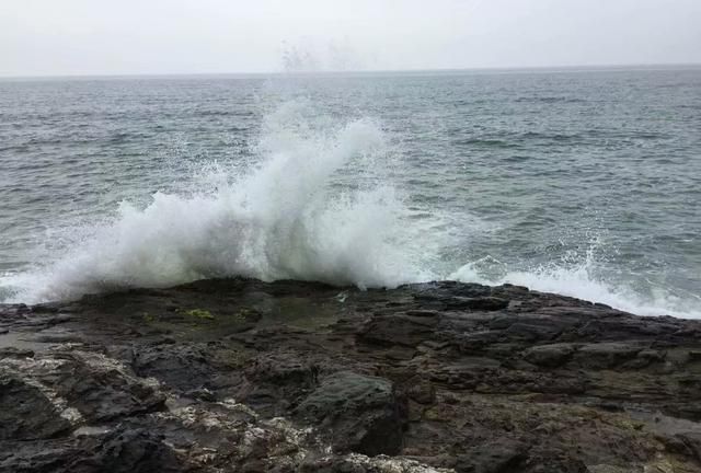 惠州海边露营赶海景点推荐(惠州巽寮湾防波堤海钓地点)图10