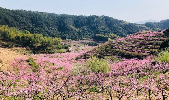 杭州郊区有个世外桃源村图4