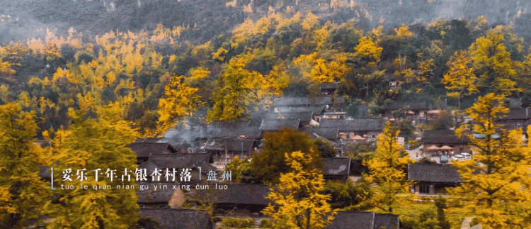 中国凉都之称的城市是图11