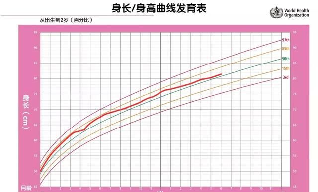 宝宝发育得好不好就看这条线,如何看出宝宝发育得好图3