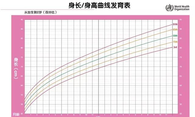 宝宝发育得好不好就看这条线,如何看出宝宝发育得好图10