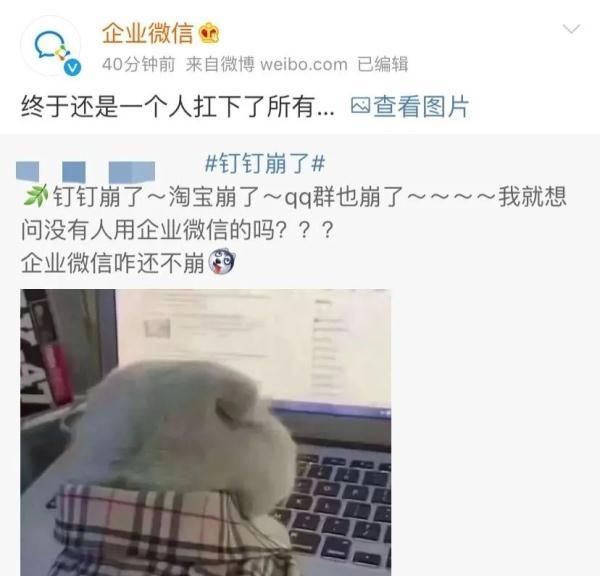 钉钉直接解散淘宝企业群会怎么样图1