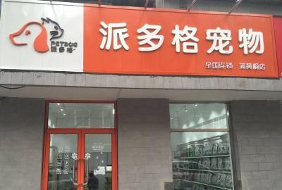 开宠物店要哪些证件(宠物店的各种证件)图1